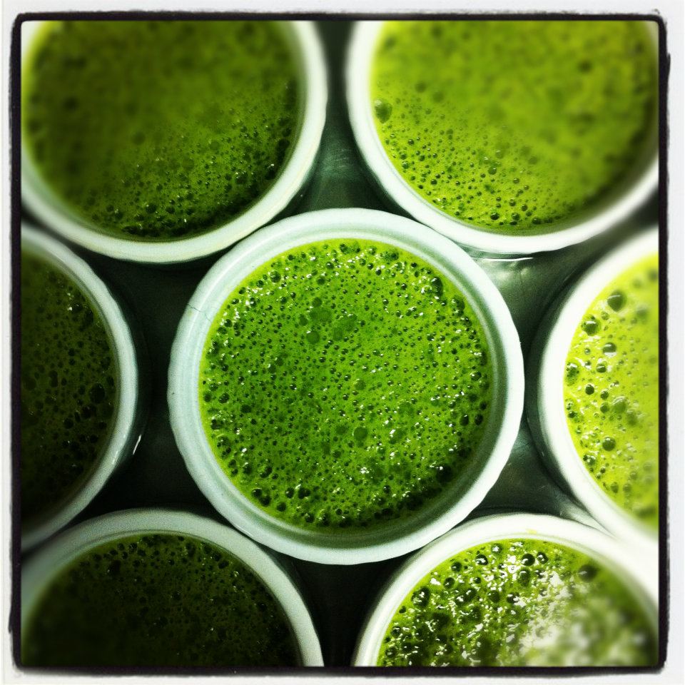 Green Tea Brulee